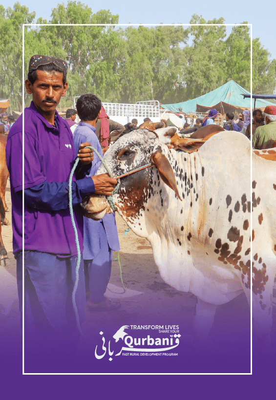 Qurbani Web Image